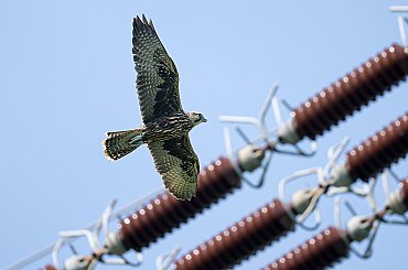 Policie na západě Německa podnikla v souvislosti se sabotážemi několik zásahů