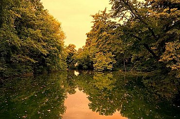Povodí Labe začalo s těžbou sedimentů z vypuštěné Labské přehrady v Krkonoších