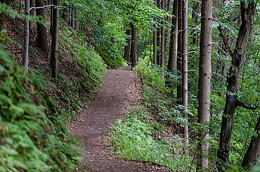 Krkonošský národní park stále nemá ředitele. Mezi 11 finalisty se podle ministerstva rozhodne v květnu