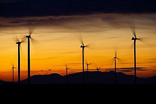 Vestas CEO says Trump’s tariffs to push global power prices, urges calm on US market’s long-term prospects